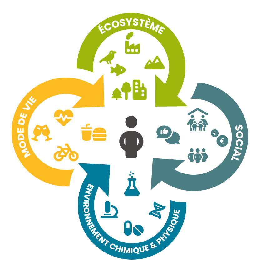 infographie représentant l'exposome pour le projet IROSE avec quatre flèches de couleurs, mode devie, écosystème, social, environnement chimique et physique