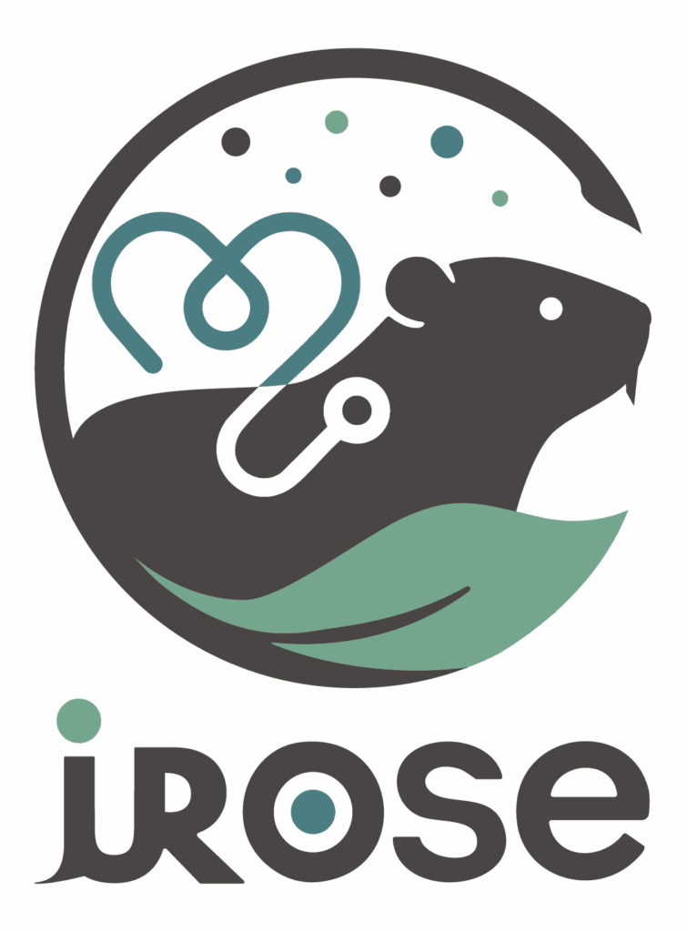 logo du projet IROSE avec un ragondin en noir, bleu et vert