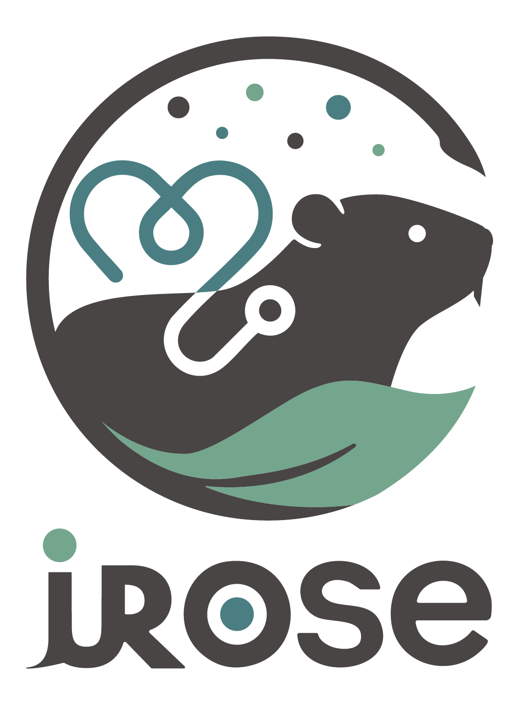 logo du projet IROSE avec un ragondin en noir, bleu et vert